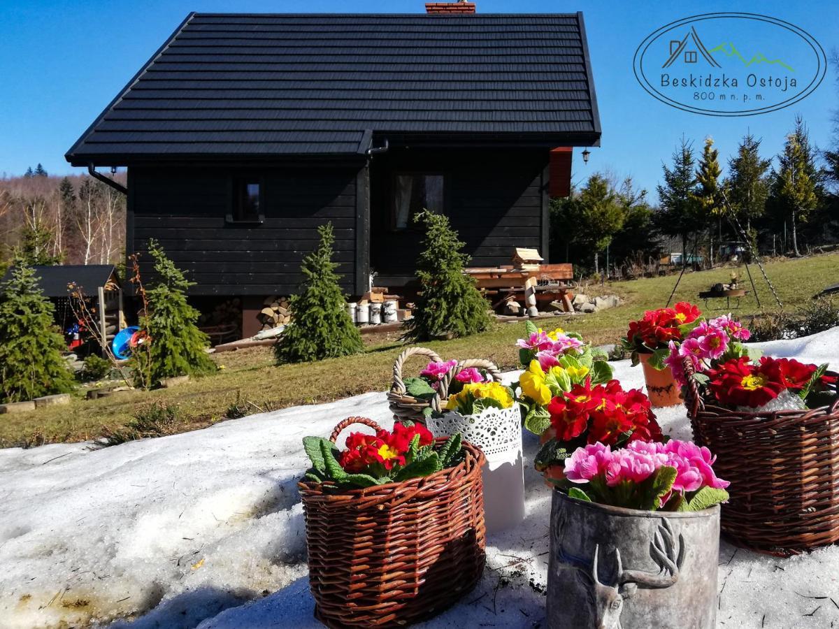 Beskidzka Ostoja Koszarawa Exterior photo